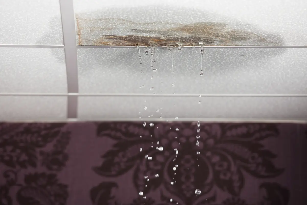 Water dripping from a stained ceiling panel, a sign of roof leaks and what causes roof leaks in homes.
